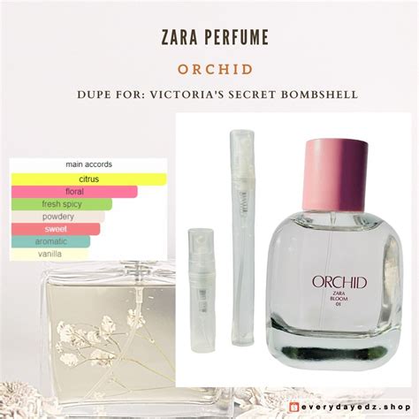 chloe zara dupe|Zara orchid dupe.